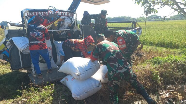 Kodim Boyolali Dukung Program Bulog Melalui Serapan Gabah Petani