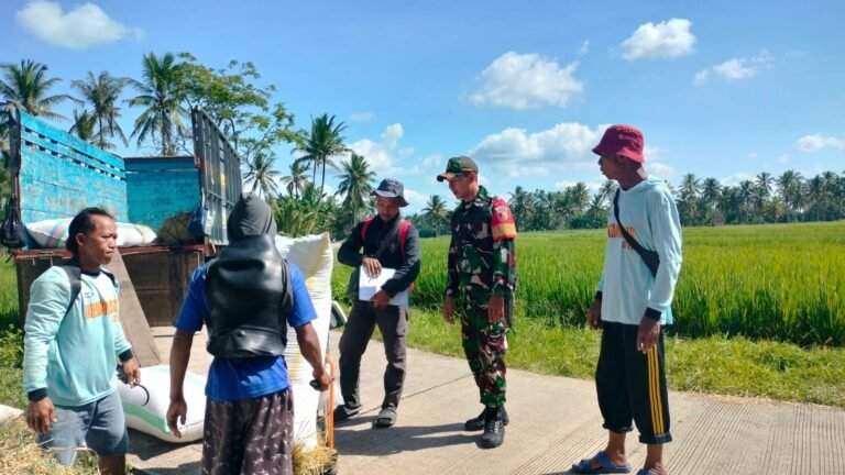 Babinsa Koramil 0825/20 Songgon Kawal Serapan Gabah Bulog Kepada Petani Di Kecamatan Songgon