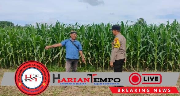 Polisi di Banyuwangi Dampingi Petani untuk Dukung Swasembada Pangan