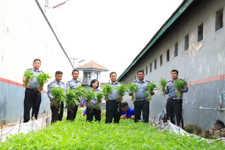 Maksimalkan Lahan Terbatas untuk Program Ketahanan Pangan, Lapas Banyuwangi Panen Kangkung