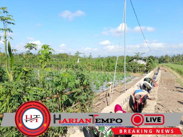 TMMD 125 Banyuwangi: Prajurit dan Rakyat Bersatu Kejar Target Pengairan Sawah
