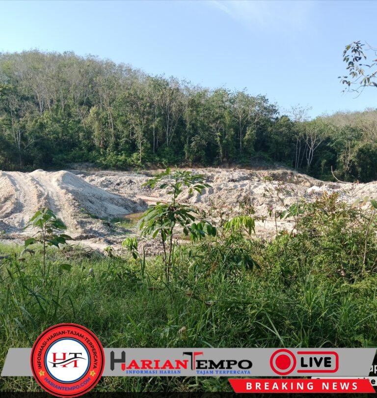 “PAD yang Hilang di Lorong Gelap: Kisah Kebun Pemda, Fee Misterius, dan Tambang Ilegal”