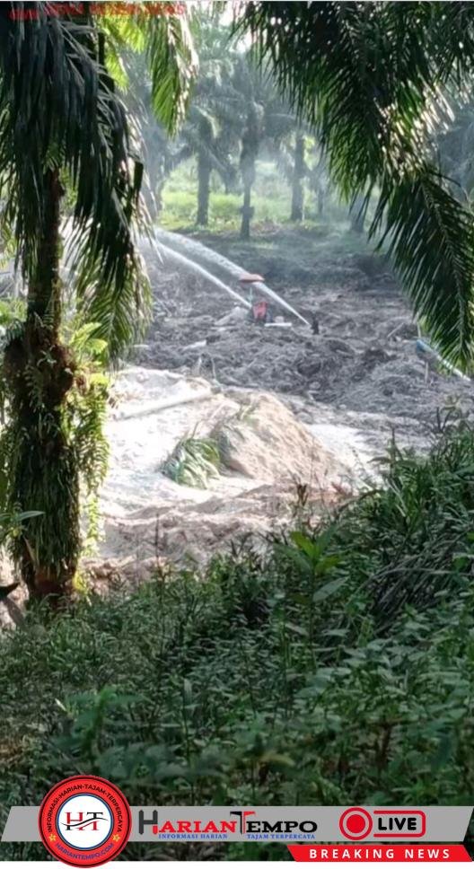 PETI di Sungai Tengkalak Kembali Marak, Diduga Libatkan Warga Sumber Datar: Aparat Diminta Bertindak Tegas