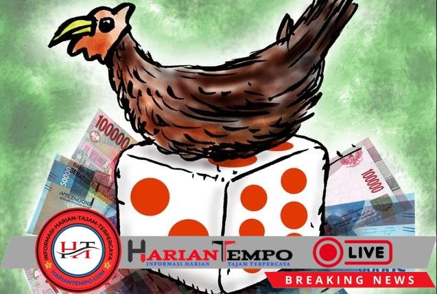 Warga Desa Sumberagung resah adanya perjudian, diduga ada oknum Polsek Pesanggaran melindungi karena dapat upeti harian