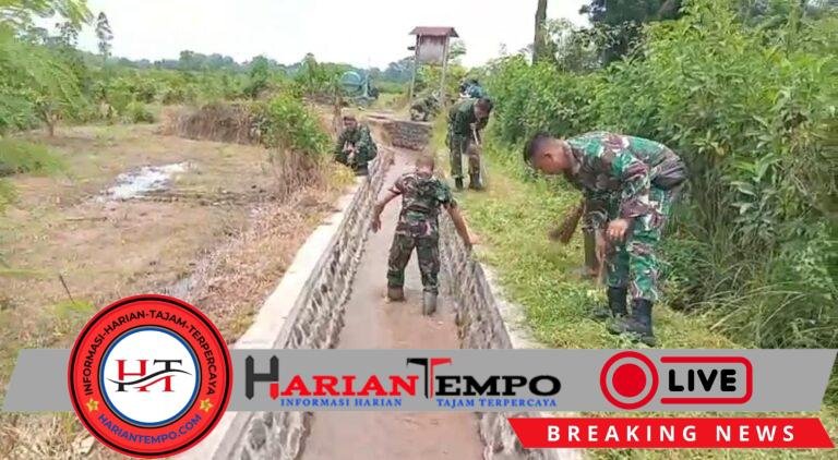 Anggota Koramil 0825/07 Cluring Gotong Royong Bersihkan Saluran Irigasi Bersama Kelompok Tani Tulodo