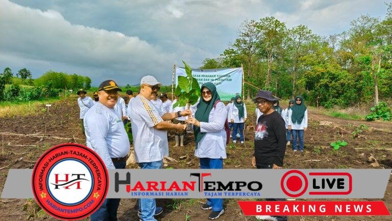 10 Hektar Menghijau: Aksi Tanam Jati Babinsa–Perhutani di Watukebo Demi Warisan Alam Masa Depan