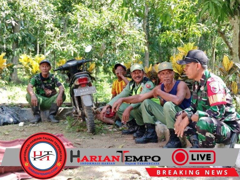 Babinsa Koramil Pesanggaran Gotong Royong Pembuatan Pos Linmas Desa